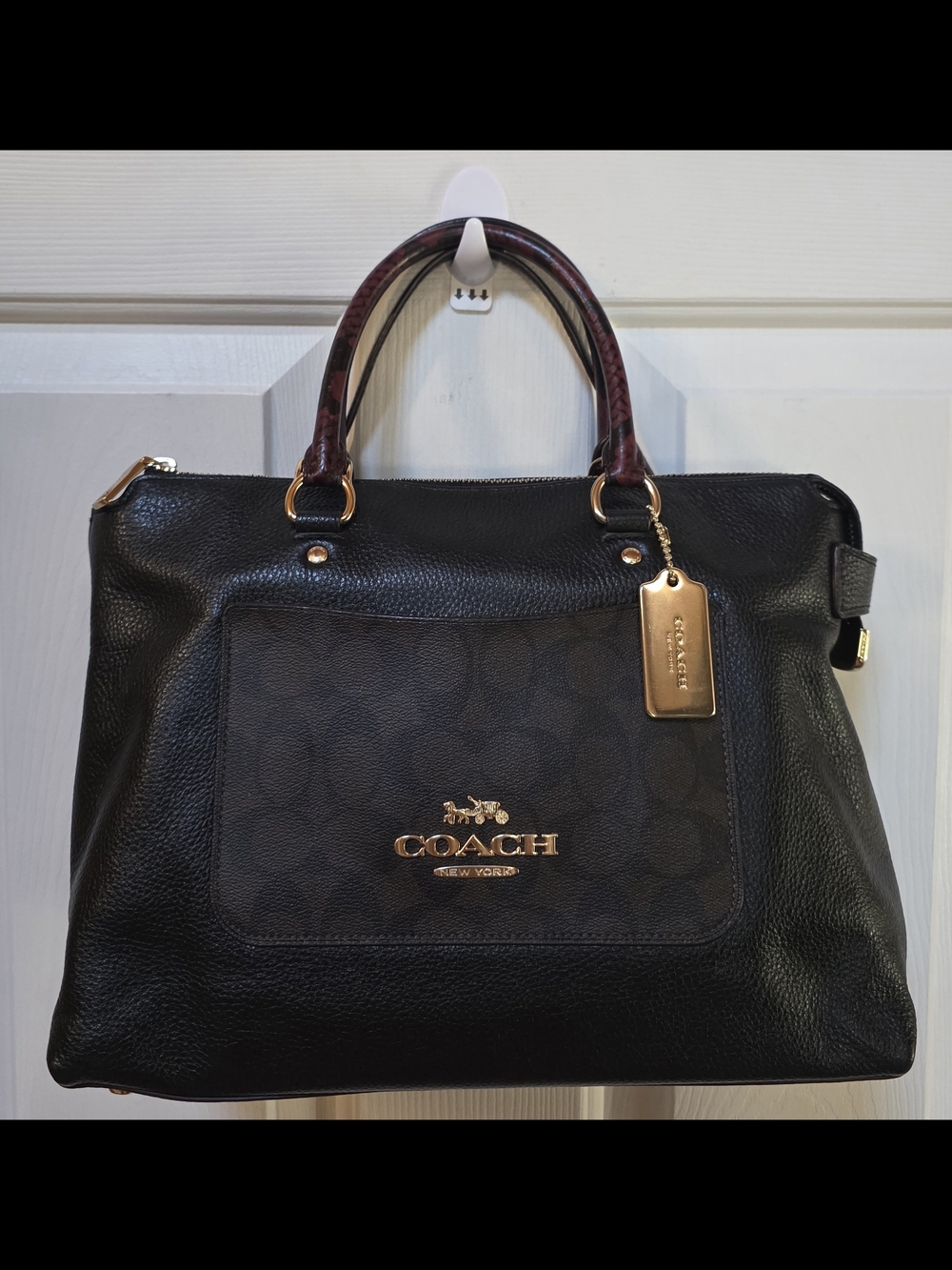 Coach Signature Exotic Emma Satchel